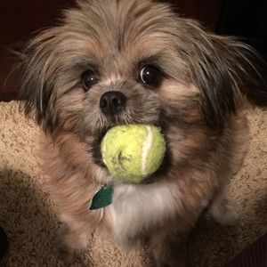 Meet your Posher, Jina